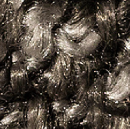 arp0318_mo_d_06