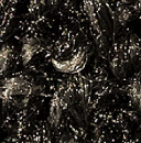 arp0324_mo_d_07