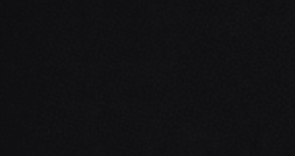 bd025_mo_b_2