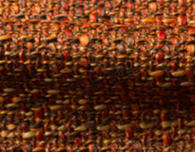 bra0060_mo_d_42