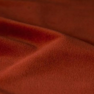 bra0065_mo_a_11