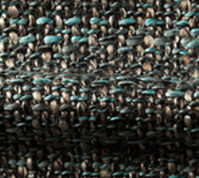 bra0066_mo_d_49