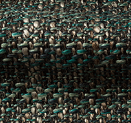 bra0066_mo_d_52