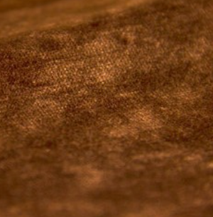 bra0069_mo_b_5