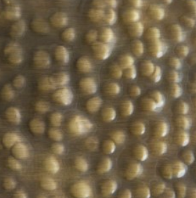 bra0086_mo_frame_a_2