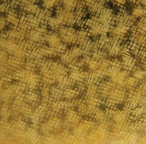 bra0086_mo_frame_a_3