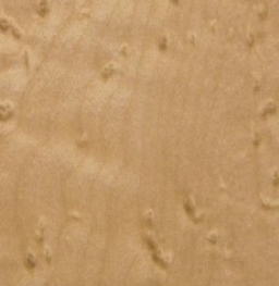 bra0086_mo_top_a_1