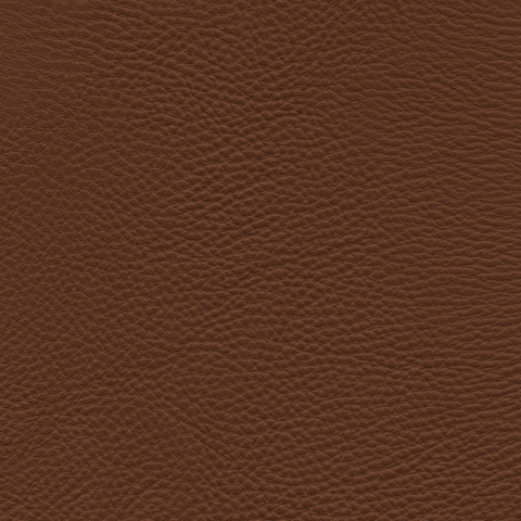 cl0152_mo_frame_a_13