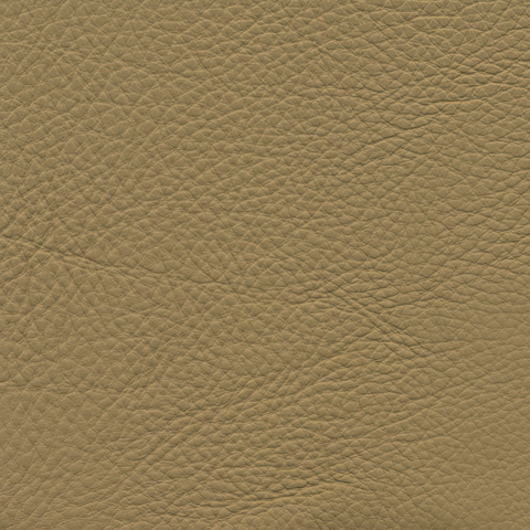 cl0152_mo_top_a_09