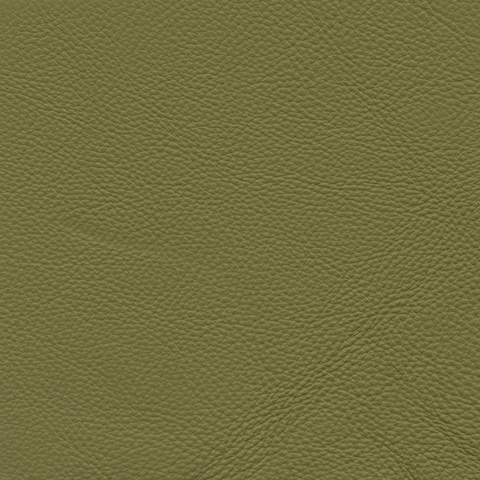cl0152_mo_top_a_38