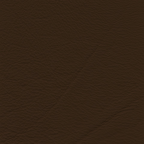 cl0162_mo_a_17