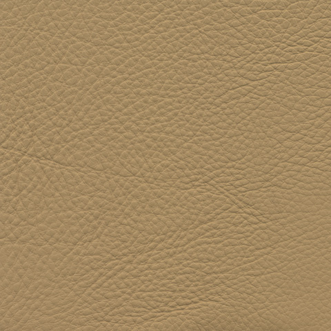 cl0164_mo_a_08