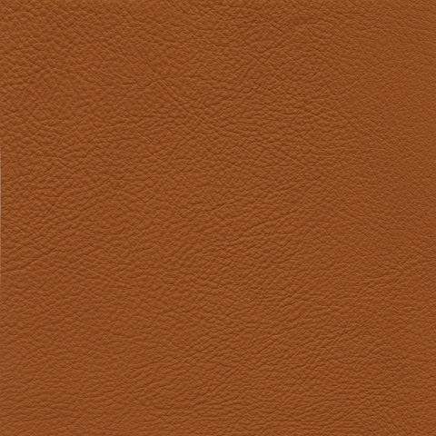 cl0164_mo_a_45