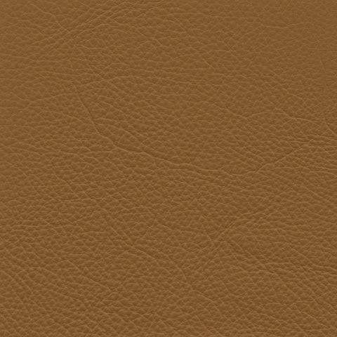cl0166_mo_a_10