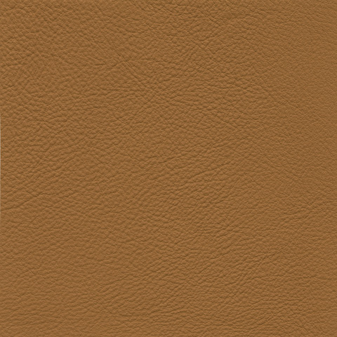 cl0166_mo_a_11