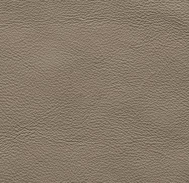 galr005a_mo_c_05