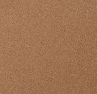galr012e_mo_c_02