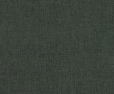 gub0120a_mo_d_46