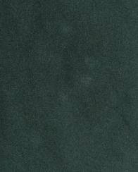 gub0120c_mo_b_117