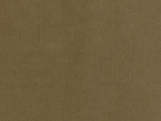 gub0120d_mo_b_114