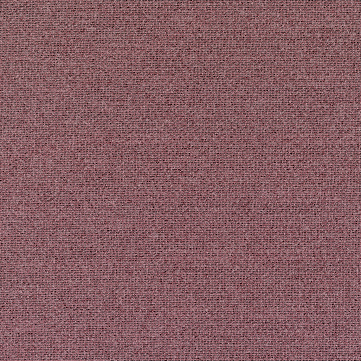liv025_mo_b_09