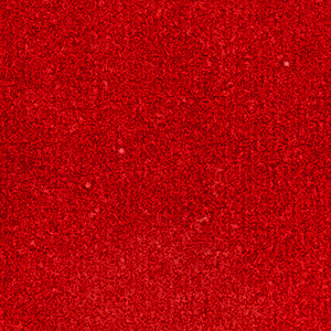 liv026_mo_a_11