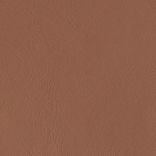 liv028a_mo_a_17