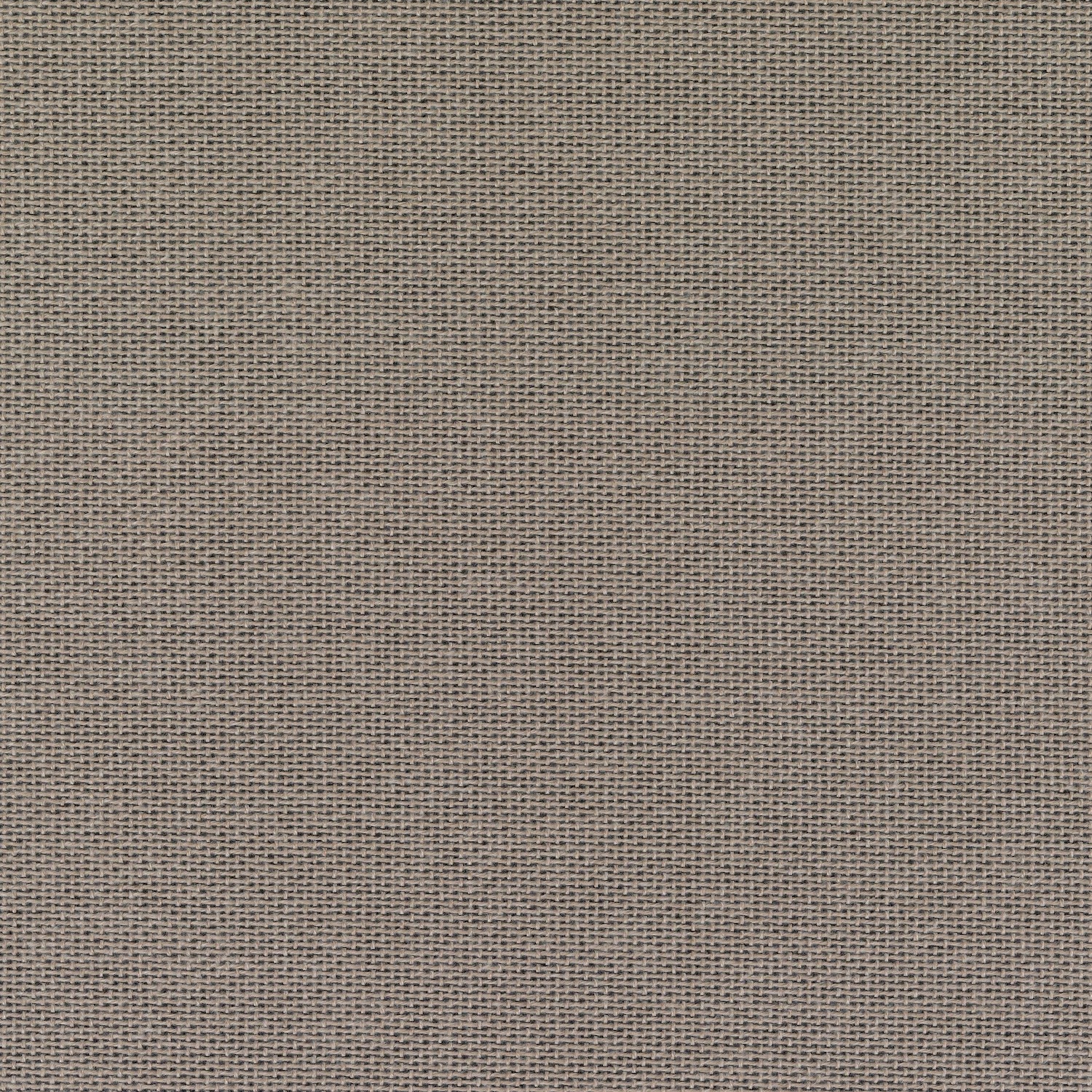 liv031_mo_b_06