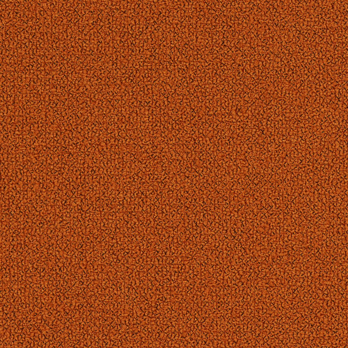 liv050_mo_a_31