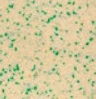 mini0053a_mo_frame_a_1