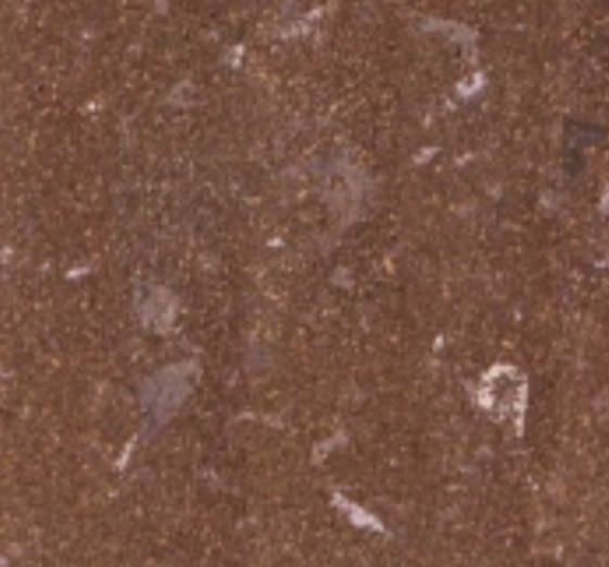 punt0016_mo_top_a_3