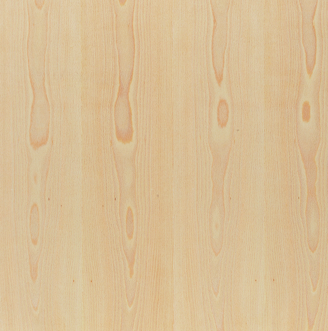 ond023_mo_frame_a_11