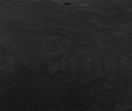 pfst0020_mo_a_2