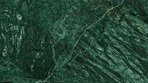 bd011b_mo_c_2