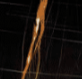 cl0116_mo_b_1