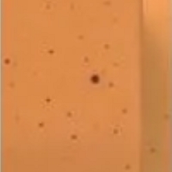 crid009_mo_b_01