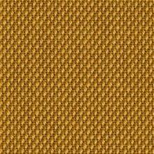 nc025_mo_c_28
