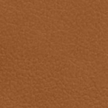 nc025_mo_d_13