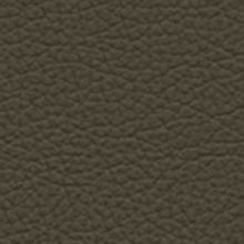nc025_mo_d_21