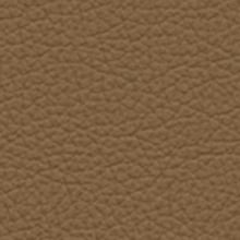 nc025_mo_d_22
