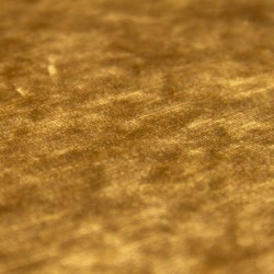 bra0014_mo_b_4