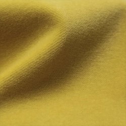 bra0018_mo_a_41