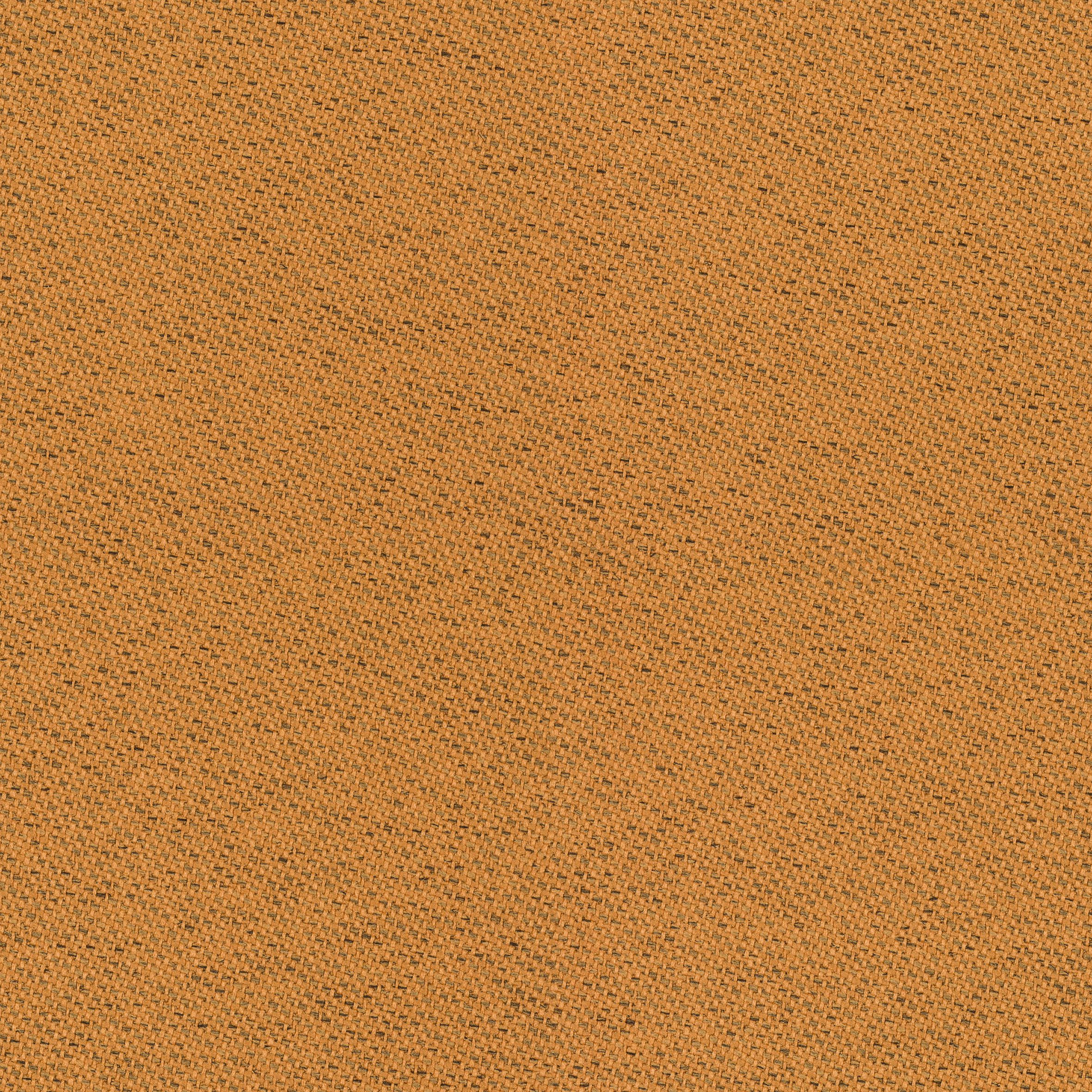 ond005_mo_c_03