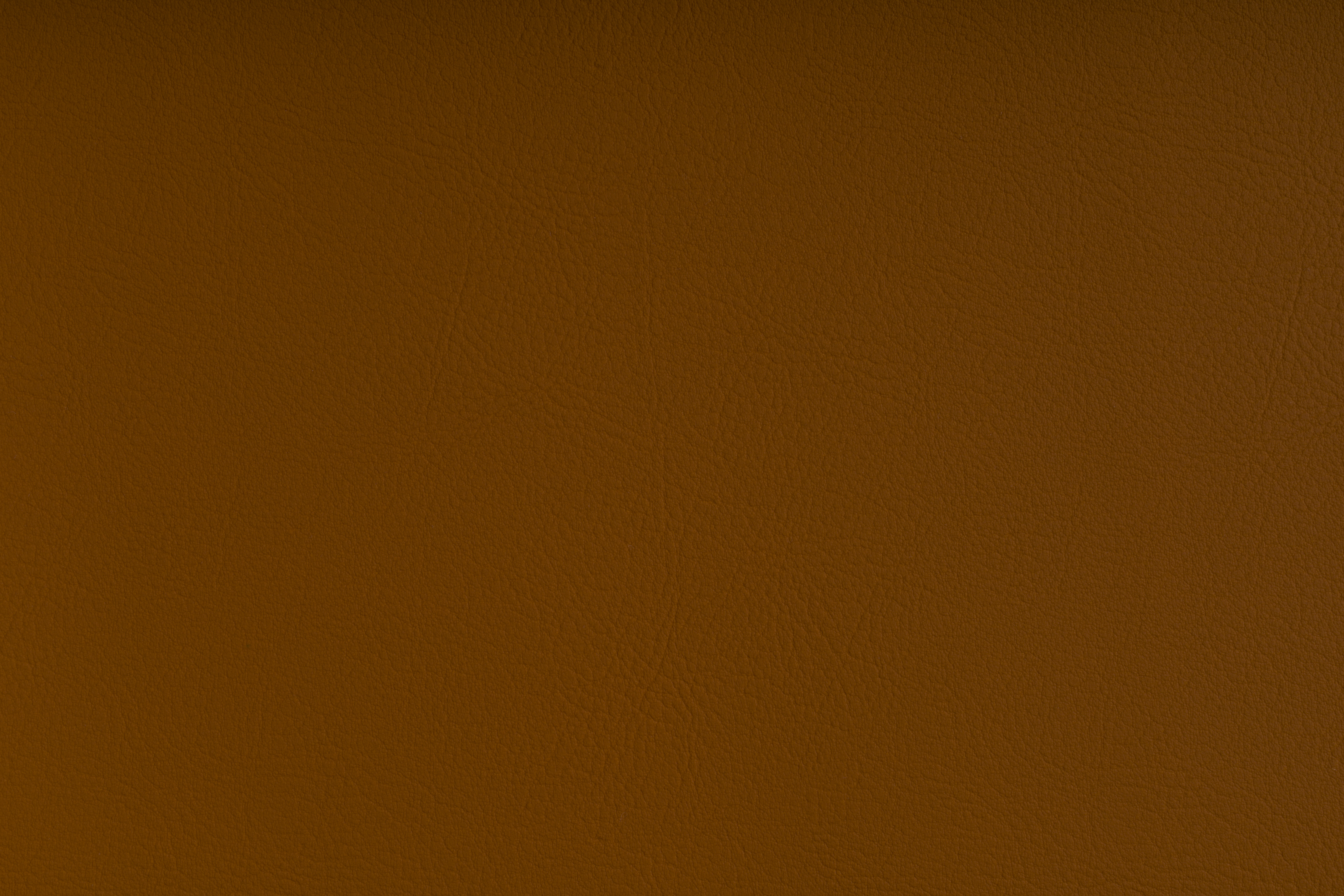 ond012_mo_b_12