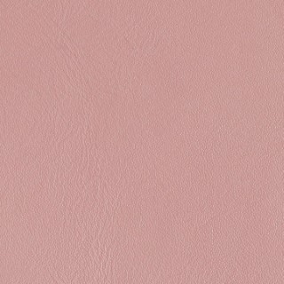 liv046a_mo_a_19