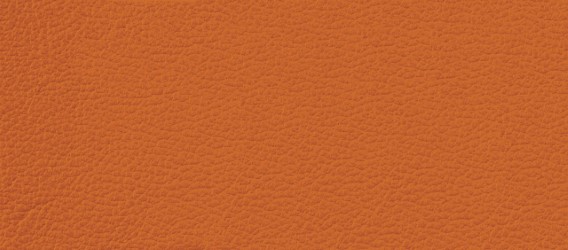 liv046a_mo_b_08