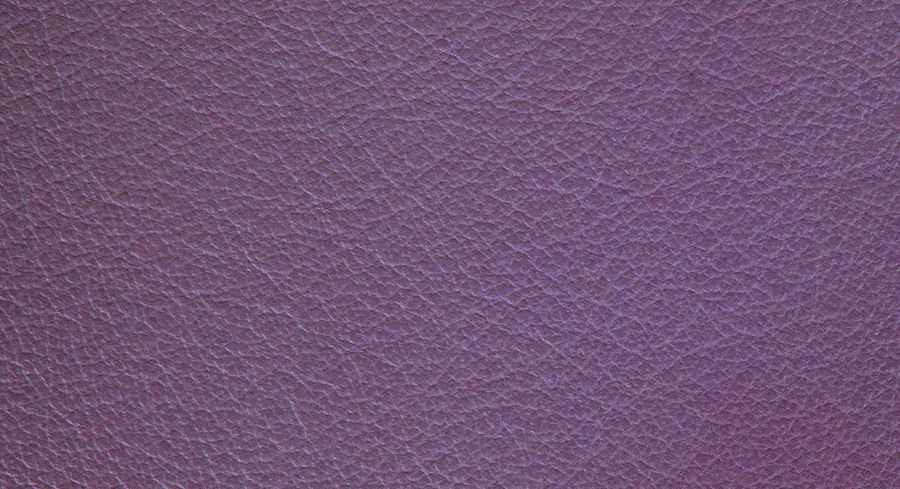 liv051_mo_b_22