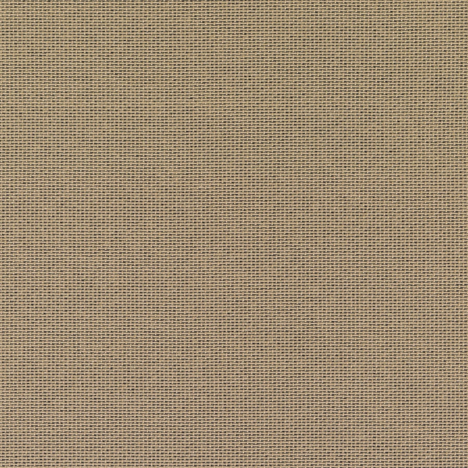 liv051_mo_d_05