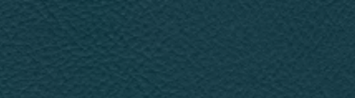 mon0020_mo_c_21