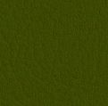 mor0108a_mo_b_08